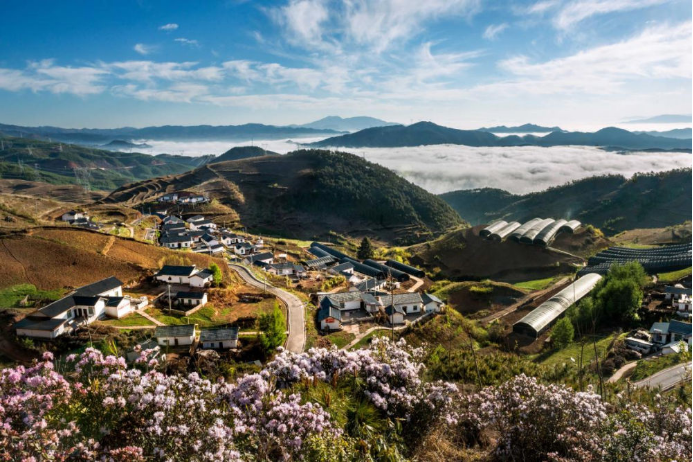 10 人生就是博-尊龙凯时电气集团科技兴农 助力凉山火普村打造数字乡村804.png